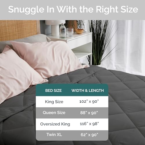 Bamtek Charcoal Queen Size Bamboo Viscose Comforter - Down Alternative Duvet Insert