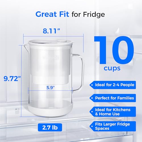 10-Cup Glass Water Filter Pitcher with 3 Replaceable NSF Certified Filters