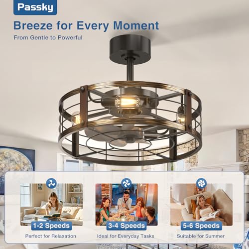 Black Brushed Gold Passky 20-inch Caged Ceiling Fan with Lights and Remote
