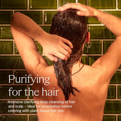Deep Clarifying Ayurvedic Shampoo with Activated Charcoal - Natural & Silicone-Free - 5 fl oz