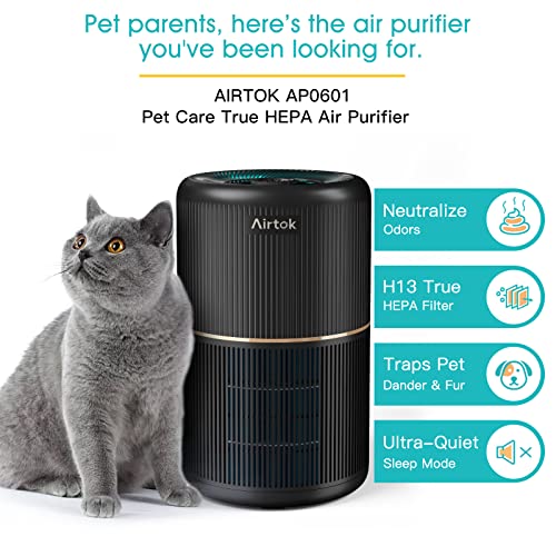 Black Air Purifier for Home Bedroom Office with HEPA Filter & Fragrance Sponge