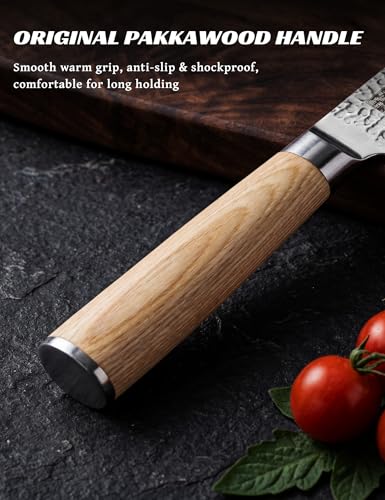 Japanese Chef Knife Set VG-10 Damascus Steel 67-Layers Professional Kitchen Knives