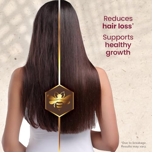 Ginseng Shampoo with Royal Jelly 14 Fl Oz Pack of 3 - Strengthening Hair Care