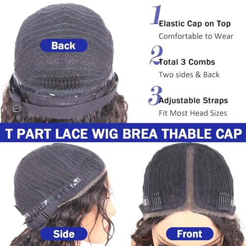 12 Inch Ombre Wet and Wavy Human Hair Lace Front Wig FS4/27 - T Part Variation