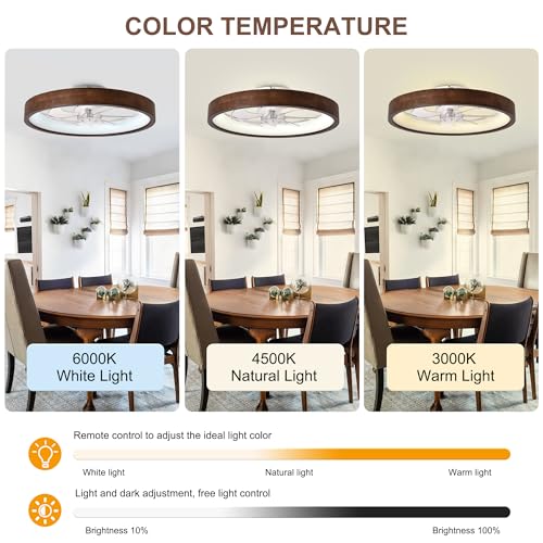 Oaks Aura 20-Inch Dark Wood Modern Flush Mount Ceiling Fan with Lights - Variant SM20-Z