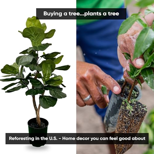 3ft Artificial Fiddle Leaf Fig Tree in Green with Real Wood Trunks - Handmade, Ethically Sourced