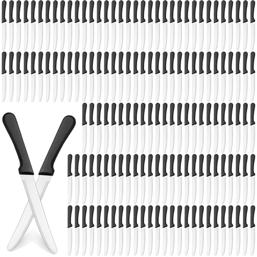 200 Pcs Stainless Steel Serrated Steak Knives with Plastic Handles for Dining & Restaurants