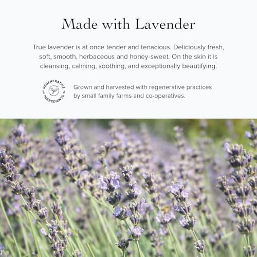 Organic Floral Face Toner - Hydrating Hydrosol with Rose, Lavender & Lemon Verbena