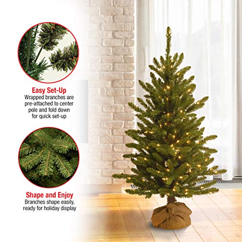 4ft Pre-Lit Artificial Christmas Tree with Hinged Branches - Green, Full Profile, Indoor Decor - Variation of Trees