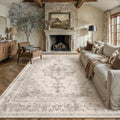 Antique Taupe Washable 8x10 Vintage Distressed Area Rug for Living & Bedroom
