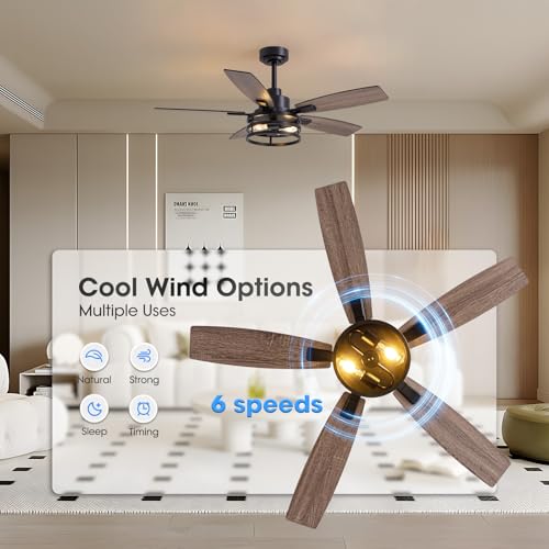 LuminFan Black 46-Inch Ceiling Fan with Lights & Remote Control for Indoor & Outdoor