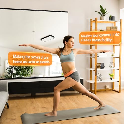 Delma 48''x24'' Frameless Full Body Gym Mirrors 2-Pack - Black Frame