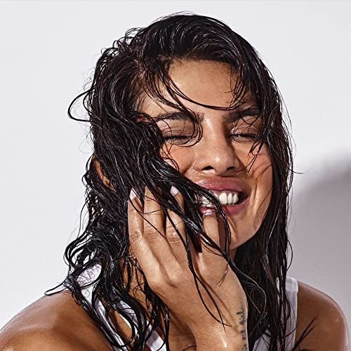 Anomaly Shine Deep Conditioner Detangler with Jojoba Oil & Murumuru