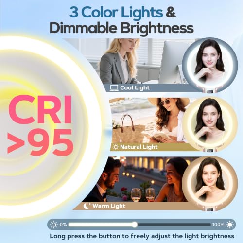 30X Travel Magnifying Vanity Mirror with Light & Phone Holder - Rosegold