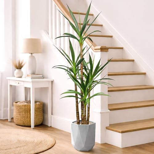 6Ft Faux Agave Tree with 4 Stems, Tall Artificial Plant in Plastic Pot for Home Office Decor