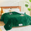 Moss King Size Electric Heated Blanket with Dual Control, 10 Levels & Auto Off