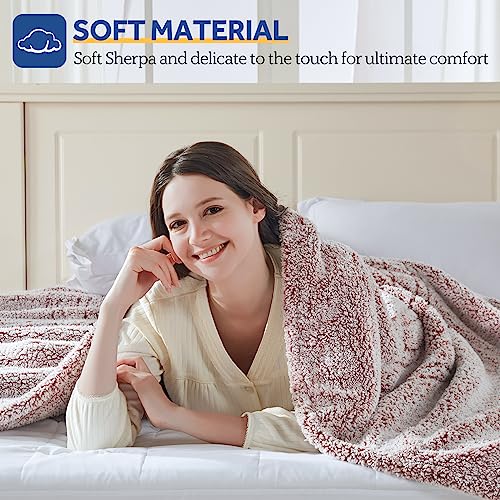 Sealy Queen Size Electric Blanket with Dual Control, Rust Red, 10 Heat Levels
