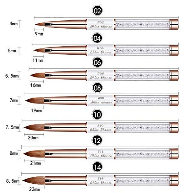 2Pcs Acrylic Nail Art Brush Size 12, 100% Pure Kolinsky Hair Oval Nail Brush for Acrylic Application, Professional Nail Extension Manicure Tool Striping Nail Drawing Pen for Home Salon