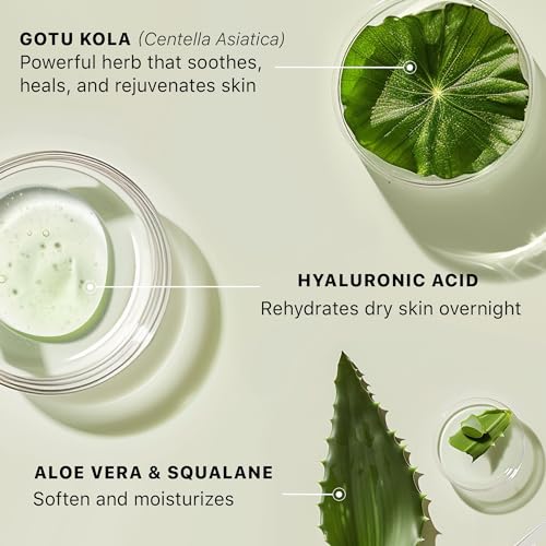 Hyaluronic Acid Moisturizer for Face - Unscented, 1.58 oz USA Made Organic