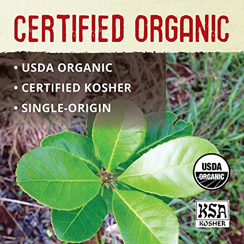 ECOTEAS Organic Yerba Mate Tea Bags Unsmoked - 100 Count Pack of 3