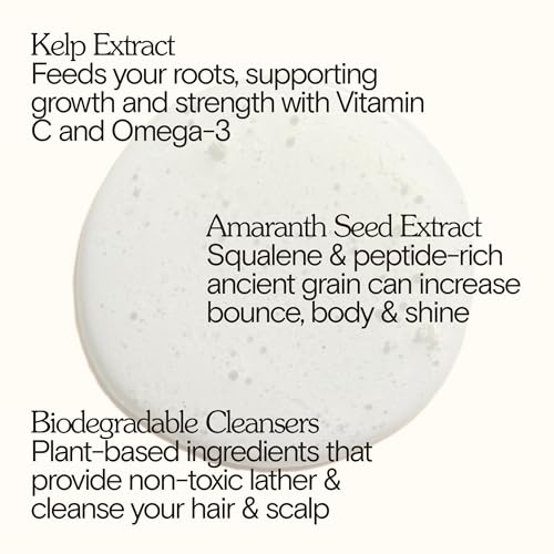 Organic Kelp Forest Shampoo - Natural Scalp & Hair Care, 8 fl oz