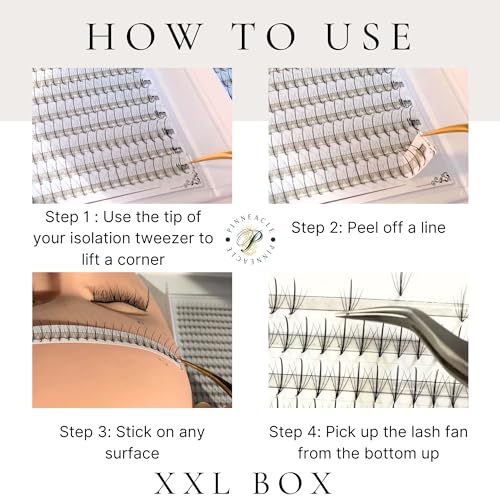 Premade Eyelash Fans Box - Brown C Curl 9-12mm | 500 Count Lash Extensions