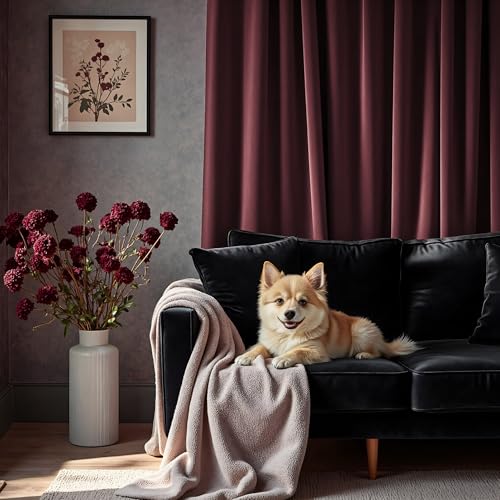 Pitalk Ruby Wine Velvet Curtains 52 x 96 Inches, Pack of 2, Light Blocking & Energy Efficient Bedroom Drapes