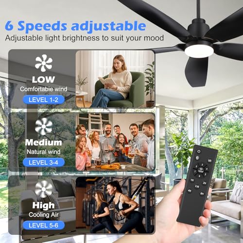 ZYD 52-Inch Black Outdoor Ceiling Fan with Light, Remote, 6-Speed Reversible DC Motor