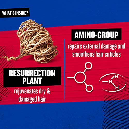TIGI Bed Head Resurrection Repair Shampoo for Damaged Hair 13.53 fl oz (Pack of 2)
