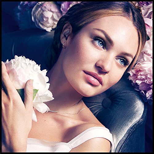 Max Factor Facefinity SPF 15 No. 01 Compact Foundation, Porcelain