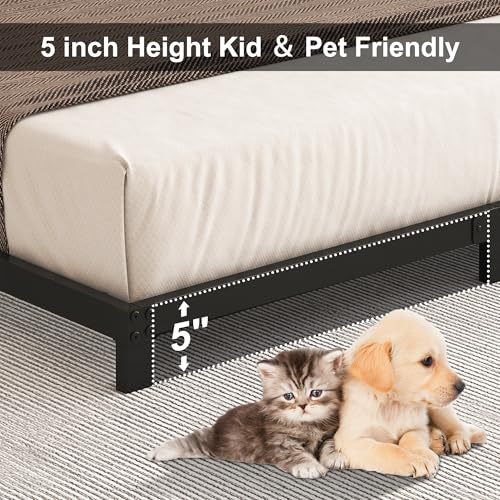 Queen Low Profile Bed Frame - 5 Inch Platform Bed, Steel, No Box Spring Needed - Black, Variation of Queen / 5 Inch
