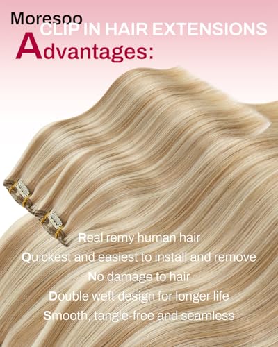 Clip-In Hair Extensions Short 12 Inch Golden Blonde Highlights Natural Human Hair