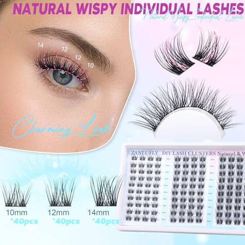 Lash Clusters Natural Eyelash Clusters D-Curly Cluster Lashes zanlufly Wispy Individual Lashes Cluster Eyelash Extension 10 12 14MM DIY Lash Extension