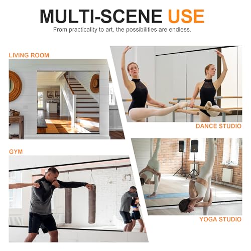 Delma 48''x24'' Frameless Full Body Gym Mirrors 2-Pack - Black Frame