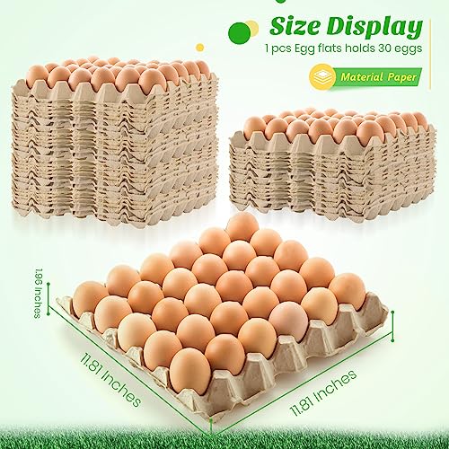 120 Pack Egg Cartons Crates with 30 Cells - Reusable Pulp Fiber Egg Flats for Storage & Insect Habitat - Variations of THIS listing