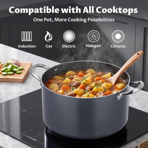 BEZIA 12 Quart Nonstick Stock Pot with Lid - Large Induction Cooking Pot