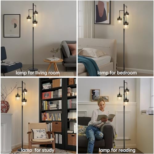 DMBOSS Crystal Floor Lamp - Modern Black Crown Design with Stepless Dimming (Black)