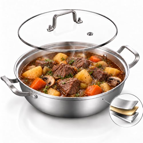 Delarlo 14-Inch Tri-Ply Stainless Steel Pot with Lid, 7 Qt (Silver)