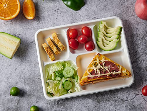 Disposable 5-Compartment Plates - Compostable Sugarcane Fiber, 10.2x8.5 inch, 500 Pack - White