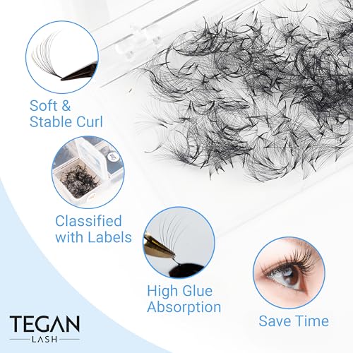 TEGAN LASH Promade Fan Mix Eyelash Extensions, From 3D - 16D, 0.03/0.05/0.07, C/CC/D, 9-15mm, Pre Made Eyelash, Easy Apply Premade False Eyelashes, Pesta?as Abanicos Extensiones (12D, 0,03, D, Mix)