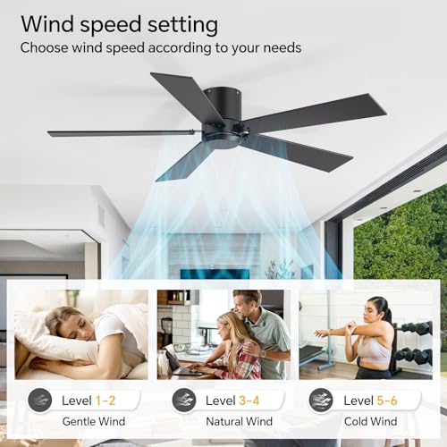 ZYD 2-Pack 42 Inch Black Ceiling Fans with Remote, No Light, Reversible DC Motor, Indoor & Outdoor