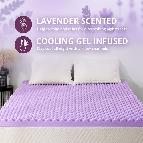 MLILY 3 Inch Egg Crate Memory Foam Mattress Topper - Full Size, Purple, Lavender Scent