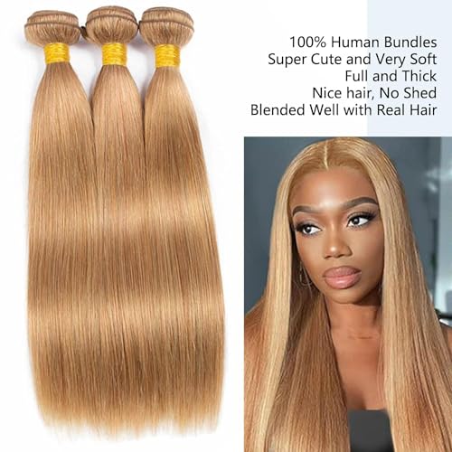 Honey Blonde Straight Hair Extensions - 3 Bundles 20 22 24 Inches - Unprocessed Virgin Human Hair