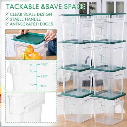 Green Food Storage Container 8 Qt Set with Lids - Kitchen Organization