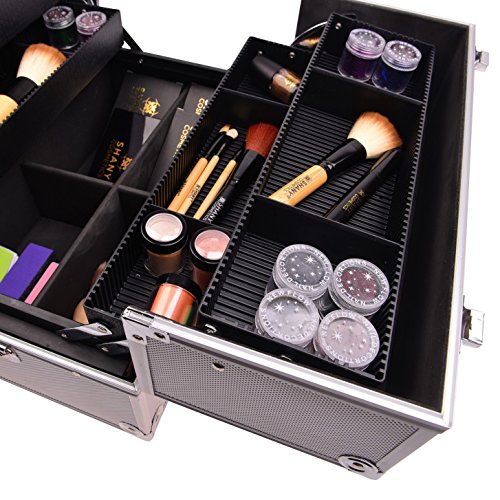 SHANY Essential Pro Makeup Train Case Cosmetic Box Portable Makeup Case Cosmetics Beauty Organizer Jewelry storage with Locks, Multi Compartments Makeup Box and Shoulder Strap - Silver