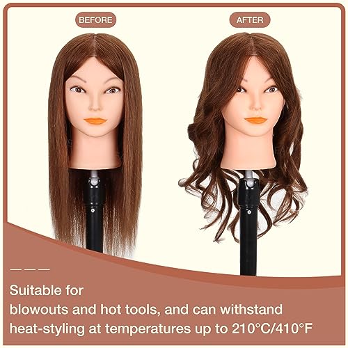 MannequeenHead Mannequin Head with 100% Human Hair - Brown, 20-22 Inch Styling Head