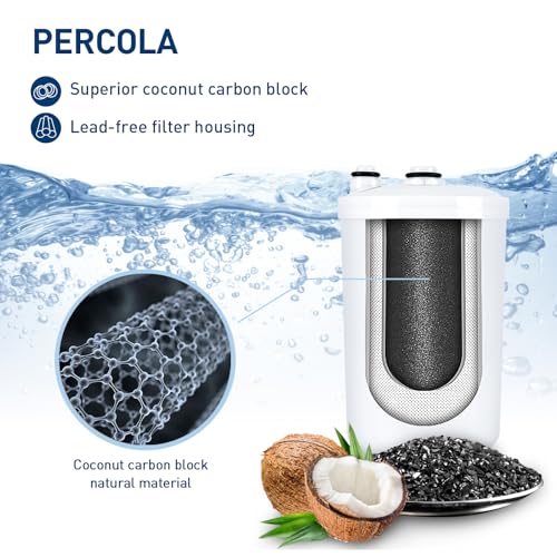 White Water Filter 2-Pack for FC1 F8 HG-N Compatible with Enagic Machines