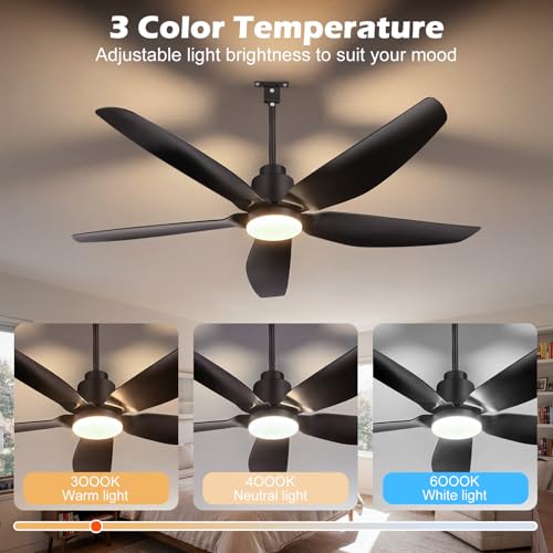 ZYD 52-Inch Black Outdoor Ceiling Fan with Light, Remote, 6-Speed Reversible DC Motor