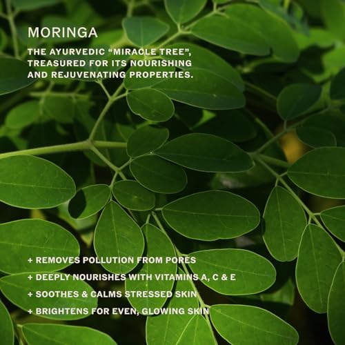 Gentle Exfoliating Toner with Vitamin C & AHA for Glowing Skin - 4 fl oz