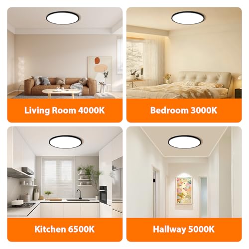 Black 12-Inch LED Flush Mount Ceiling Light - 24W Dimmable, 5 CCT Options, Slim Profile for Bedroom Kitchen Hallway